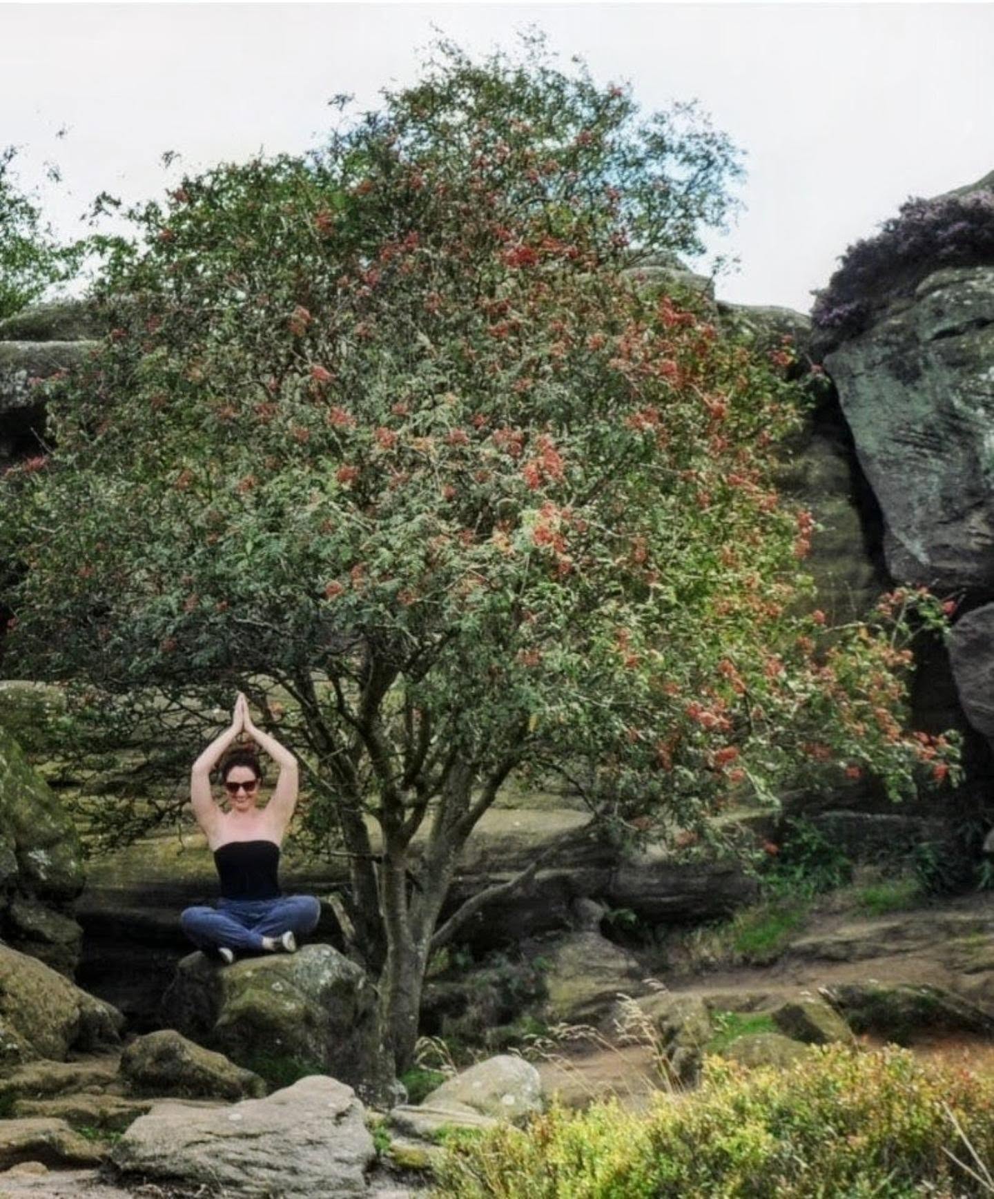 Yoga and body based therapies for mental health